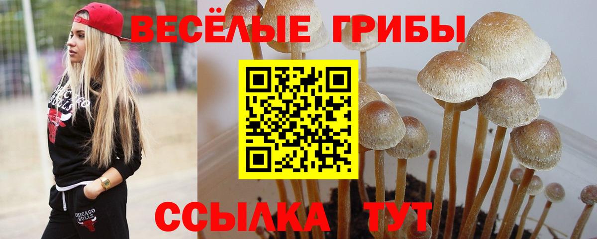 Псилоцибиновые грибы MAGIC MUSHROOMS Куйбышев