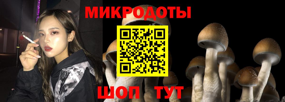 Галлюциногенные грибы ЛСД  цены   Куйбышев  Вход с VPN 